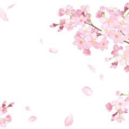 623ec9b8a011b51703bb00e3a9886ed5.jpg