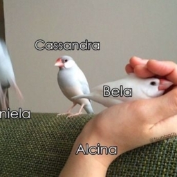 b7fa71a5dfea9bf5623726fc9d6ad2c5.jpg