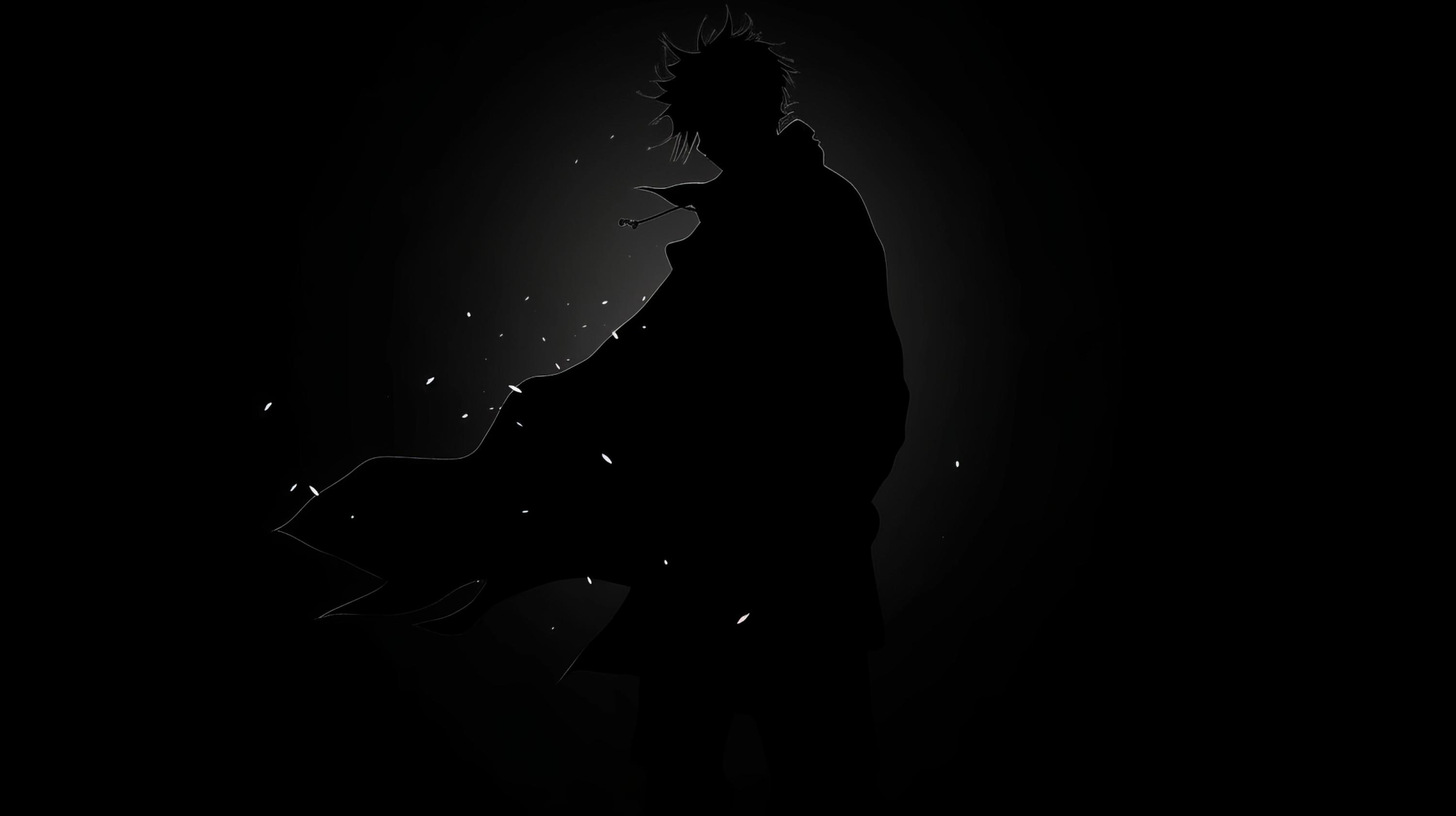 Aciel cover photo